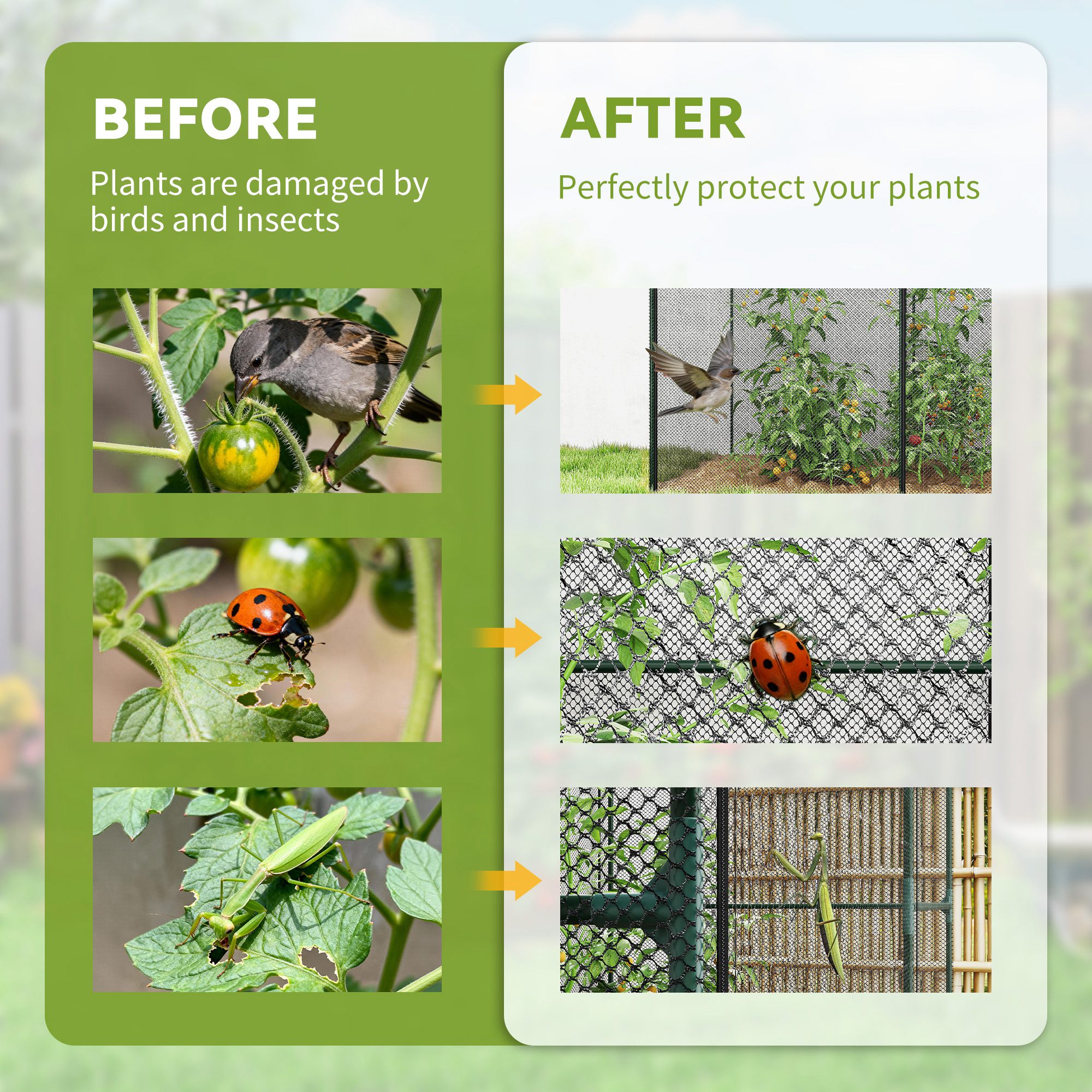 galleryImage